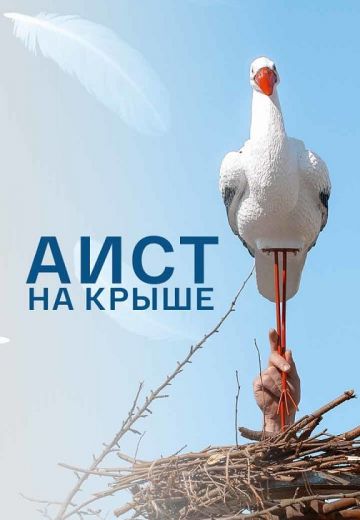 Аист на крыше 