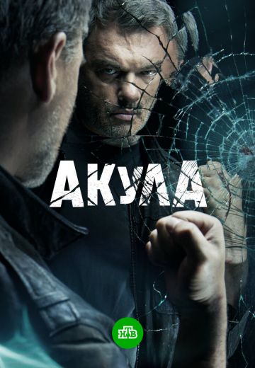 Акула 