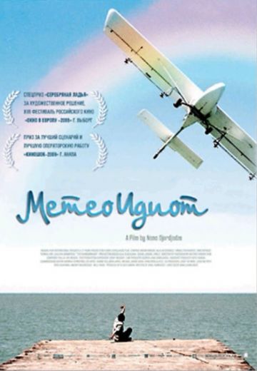 Метеоидиот 