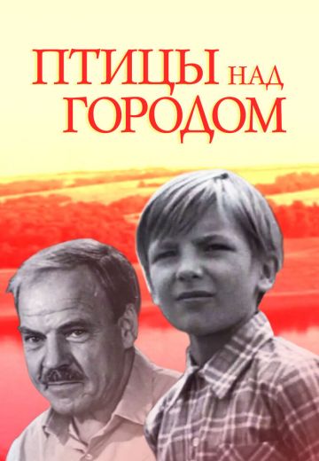 Птицы над городом 