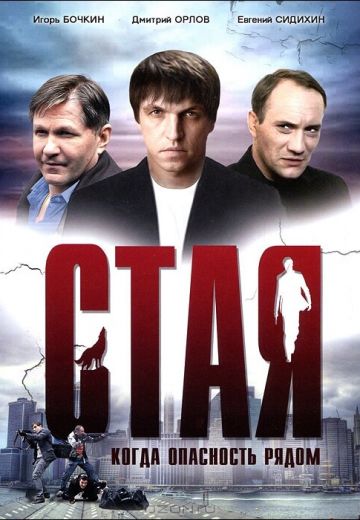 Стая 
