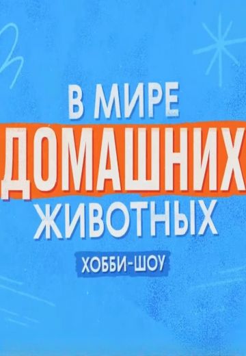 В мире домашних животных 